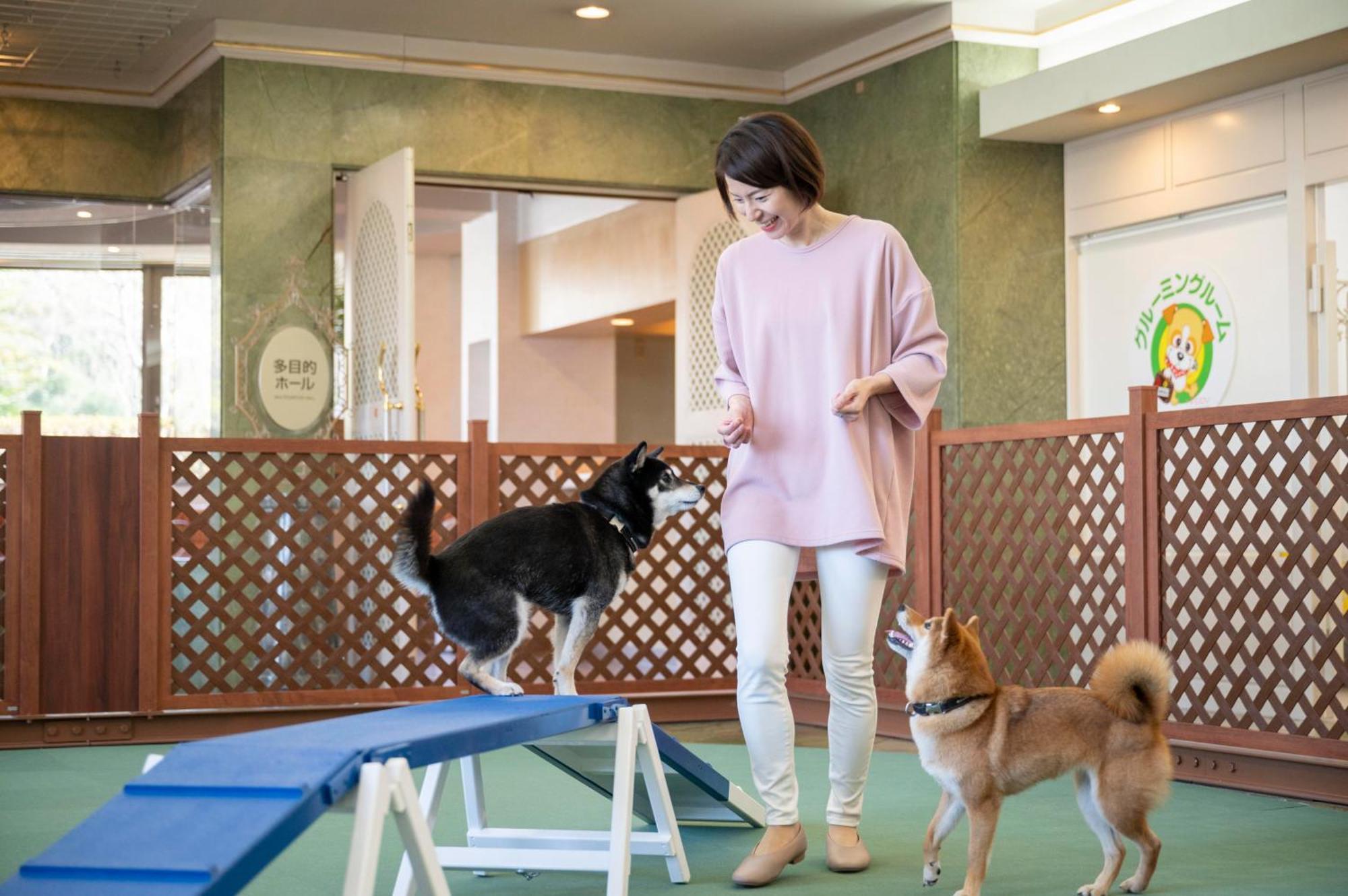 Izumigo Lake Hamana Dog Paradise Hotel Хамамацу Экстерьер фото
